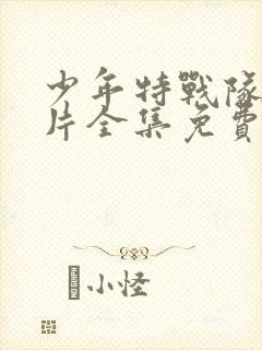 少年特战队动画片全集免费观看