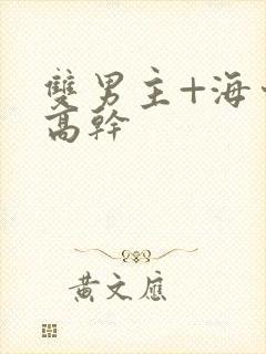 双男主+海棠+高干