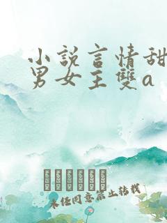 小说言情甜宠文男女主双a