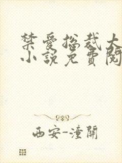 禁爱总裁太霸道小说免费阅读