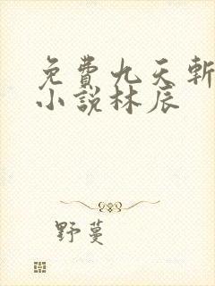 免费九天斩神诀小说林辰