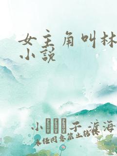 女主角叫林末的小说