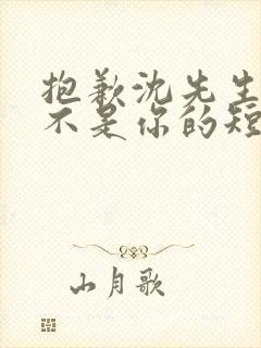 抱歉沈先生孩子不是你的短剧在线观看全集