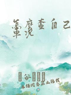 怎么查自己车的车况