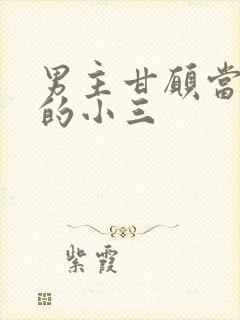 男主甘愿当女主的小三