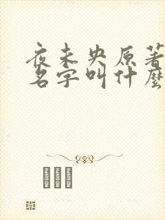 夜未央原著小说名字叫什么