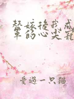 替嫁后我成了将军的心尖宠小说全集