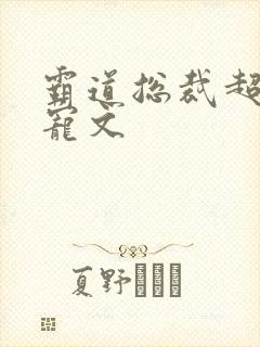 霸道总裁超级甜宠文