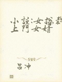 小说:女总裁的上门女婿