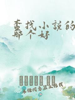 查找小说的软件哪个好