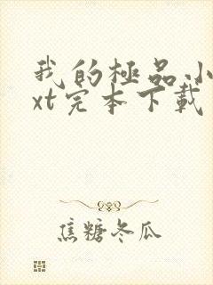 我的极品小姨txt完本下载