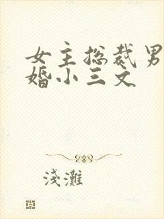 女主总裁男主已婚小三文