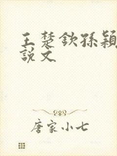 王楚钦孙颖莎小说文