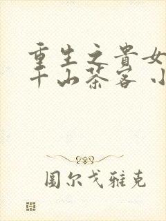 重生之贵女难求千山茶客 小说