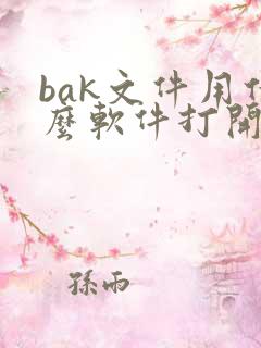 bak文件用什么软件打开