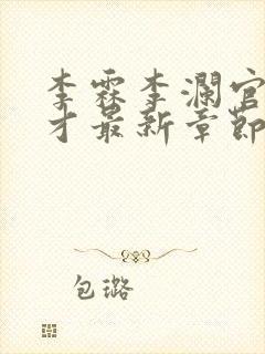 李霖李澜官场奇才最新章节内容