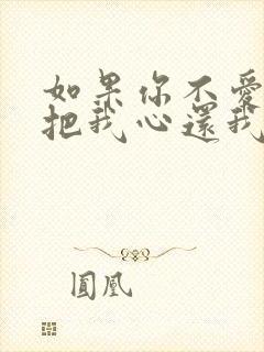 如果你不爱我就把我心还我什么歌