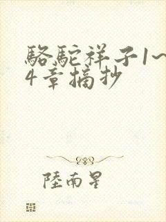 骆驼祥子1~24章摘抄