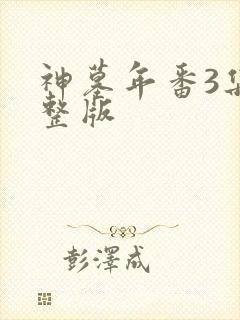 神墓年番3集完整版