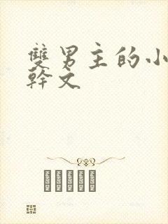 双男主的小说高干文