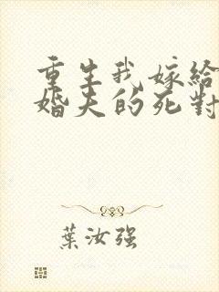 重生我嫁给了未婚夫的死对头全文