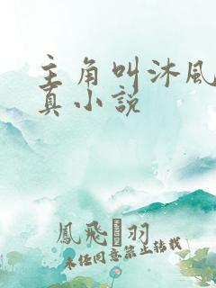 主角叫沐风的修真小说