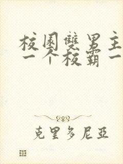 校园双男主小说一个校霸一个学霸