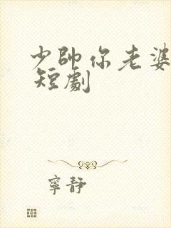 少帅你老婆又跑 短剧