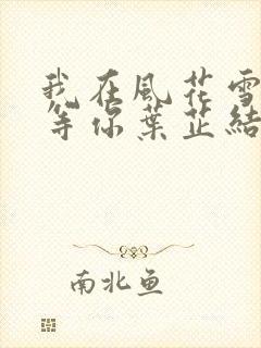 我在风花雪月里等你叶芷结局