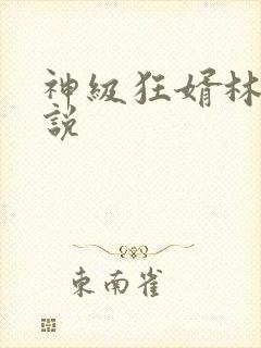 神级狂婿林凡小说