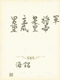 男主是将军后来变成皇帝