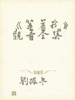 《等着我》免费观看全集