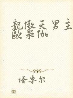 龙傲天男主是个欧米伽