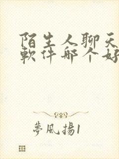 陌生人聊天交友软件哪个好