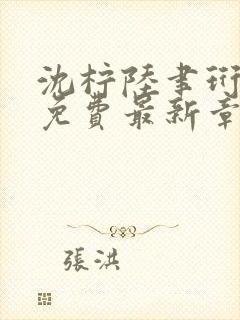 沈柠陆聿珩小说免费最新章节更新时