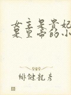 女主是贵妃男主是皇帝的小说