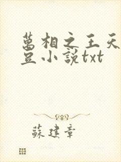 万相之王天蚕土豆小说txt