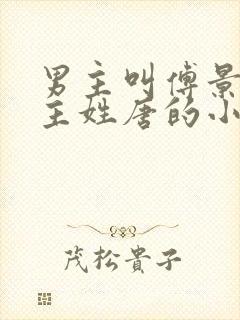 男主叫傅景琛女主姓唐的小说