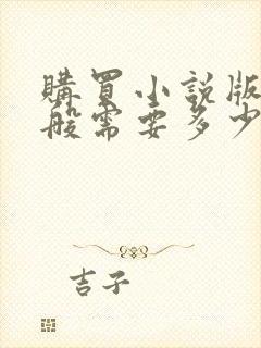 购买小说版权一般需要多少钱