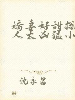 娇妻好甜总裁大人太凶猛小说