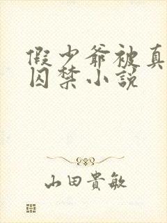 假少爷被真少爷囚禁小说