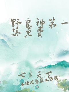 野良神第一季全集免费