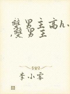 双男主高h小说,双男主