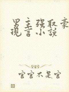 男主强取豪夺的现言小说