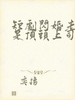 短剧闪婚老公竟是顶头上司大结局