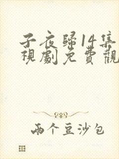 子夜归14集电视剧免费观看全集高清