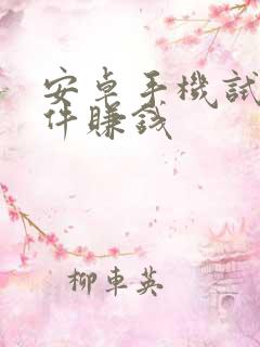 安卓手机试玩软件赚钱