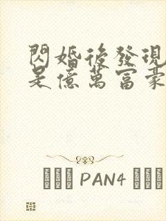 闪婚后发现老公是亿万富豪(小说)