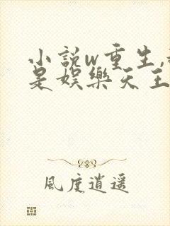 小说w重生,我是娱乐天王》