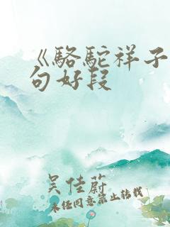 《骆驼祥子》好句好段